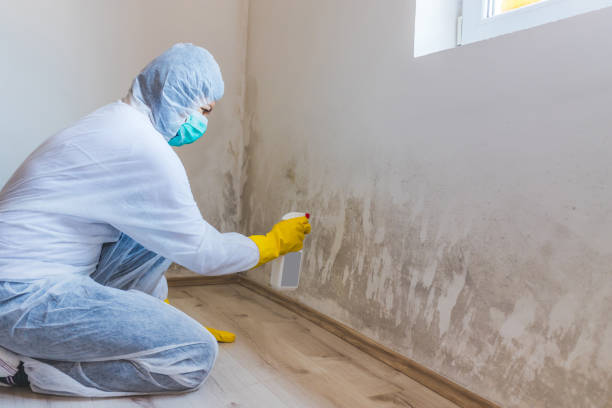 Crawl Space Mold Remediation treatment of floor joists in Mount Tabor